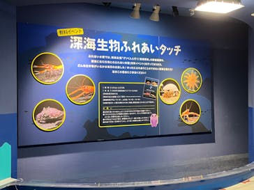 しながわ水族館に投稿された画像（2023/2/27）