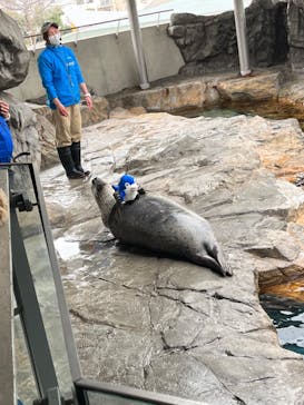 しながわ水族館に投稿された画像（2023/2/27）