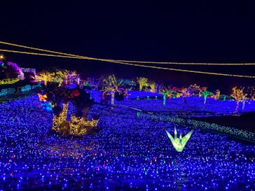 伊豆ぐらんぱる公園に投稿された画像（2023/2/24）