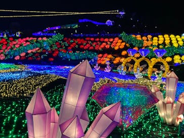 伊豆ぐらんぱる公園に投稿された画像（2023/2/24）