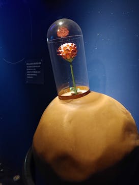 星の王子さまミュージアム 箱根サン=テグジュペリに投稿された画像（2023/2/27）