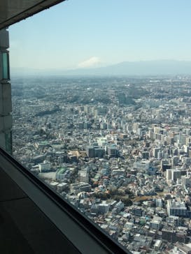 横浜ランドマークタワー 69階展望フロア スカイガーデンに投稿された画像（2023/2/27）