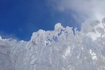 函館七飯スノーパークに投稿された画像（2023/2/27）