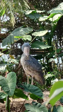 神戸どうぶつ王国に投稿された画像（2023/2/27）