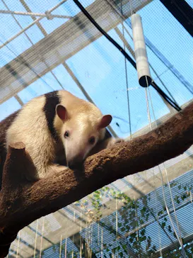神戸どうぶつ王国に投稿された画像（2023/2/27）