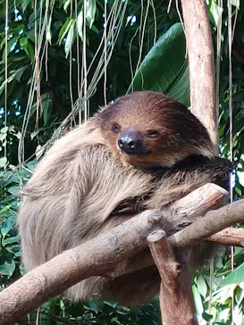 神戸どうぶつ王国に投稿された画像（2023/2/27）