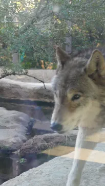 神戸どうぶつ王国に投稿された画像（2023/2/27）