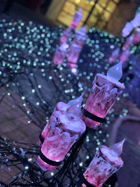 ひらかたパークに投稿された画像（2023/2/27）