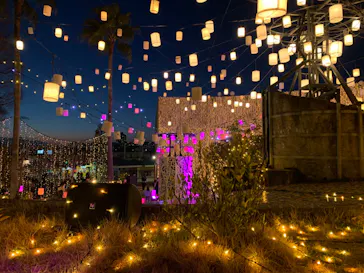 ひらかたパークに投稿された画像（2023/2/27）