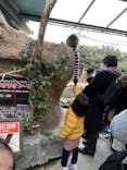神戸どうぶつ王国に投稿された画像（2023/2/27）
