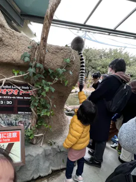 神戸どうぶつ王国に投稿された画像（2023/2/27）