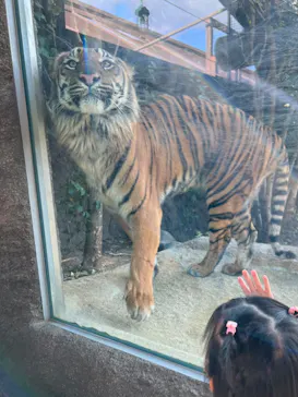 神戸どうぶつ王国に投稿された画像（2023/2/27）