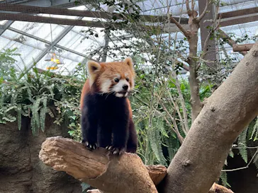 神戸どうぶつ王国に投稿された画像（2023/2/27）