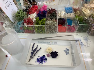 ずこうしつ〜sugamo〜に投稿された画像（2023/2/27）