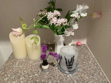 ずこうしつ〜sugamo〜に投稿された画像（2023/2/27）