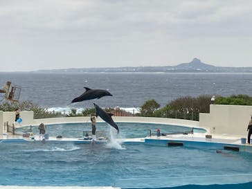 沖縄美ら海水族館に投稿された画像（2023/2/27）