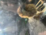 天王寺動物園に投稿された画像（2023/2/28）