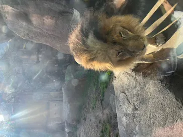 天王寺動物園に投稿された画像（2023/2/27）