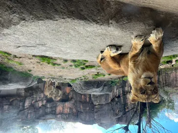天王寺動物園に投稿された画像（2023/2/27）
