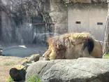 天王寺動物園に投稿された画像（2023/2/28）
