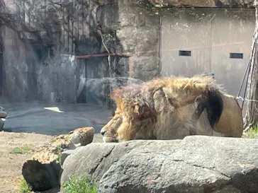 天王寺動物園に投稿された画像（2023/2/27）