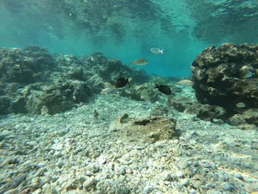 武藤潜水に投稿された画像（2023/2/28）