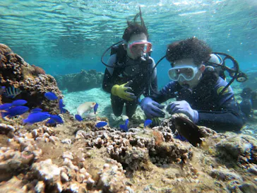 武藤潜水に投稿された画像（2023/2/28）