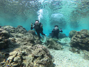 武藤潜水に投稿された画像（2023/2/28）