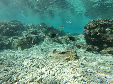 武藤潜水に投稿された画像（2023/2/28）