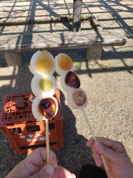 偕楽園本園に投稿された画像（2023/2/28）