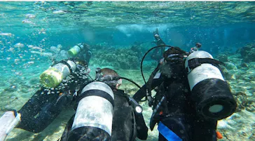 武藤潜水に投稿された画像（2023/2/28）