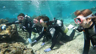 武藤潜水に投稿された画像（2023/2/28）