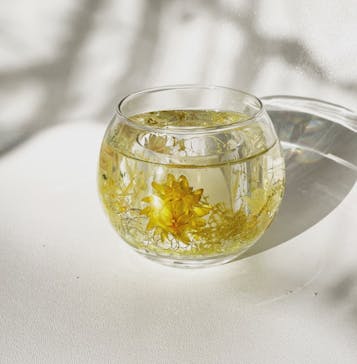 ずこうしつ〜sugamo〜に投稿された画像（2023/2/28）