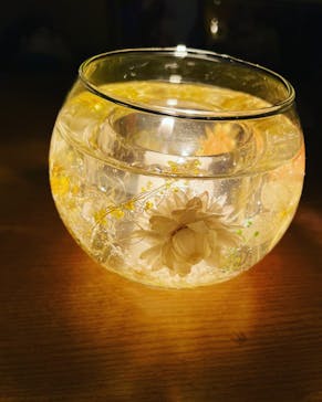 ずこうしつ〜sugamo〜に投稿された画像（2023/2/28）