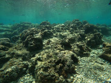 沖縄マリンサービス碧に投稿された画像（2023/2/28）