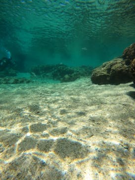 沖縄マリンサービス碧に投稿された画像（2023/2/28）