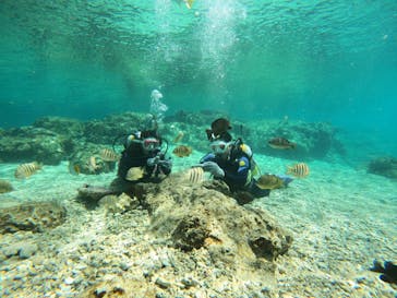 沖縄マリンサービス碧に投稿された画像（2023/2/28）