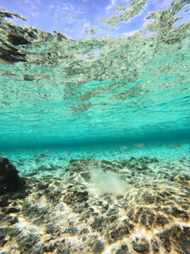 沖縄マリンサービス碧に投稿された画像（2023/2/28）