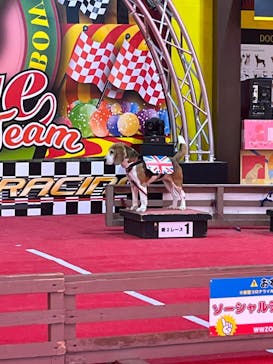 IPCわんわん動物園に投稿された画像（2023/2/28）