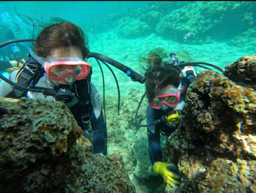 武藤潜水に投稿された画像（2023/2/28）