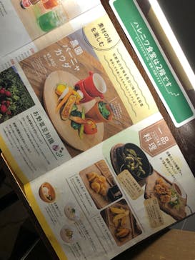 おふろcafé ハレニワの湯に投稿された画像（2023/2/28）