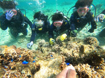 沖縄マリンサービス碧に投稿された画像（2023/2/28）