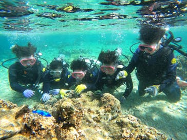 沖縄マリンサービス碧に投稿された画像（2023/2/28）