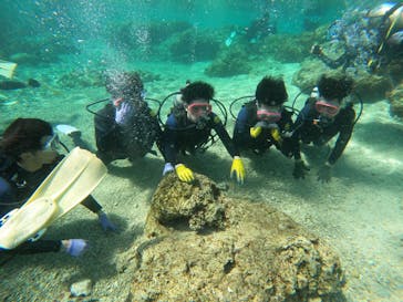 沖縄マリンサービス碧に投稿された画像（2023/2/28）