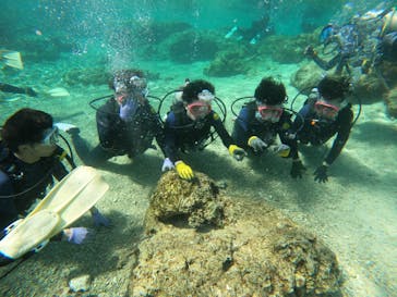 沖縄マリンサービス碧に投稿された画像（2023/2/28）