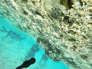 沖縄マリンサービス碧に投稿された画像（2023/2/28）