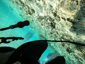 沖縄マリンサービス碧に投稿された画像（2023/2/28）