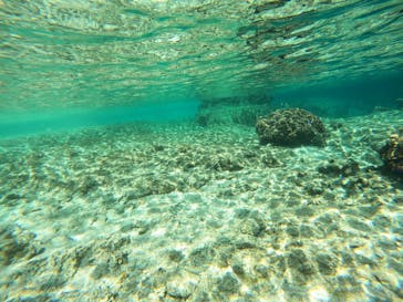 沖縄マリンサービス碧に投稿された画像（2023/2/28）