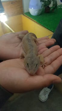 Moff アニマル カフェ イーアス 高尾店に投稿された画像（2023/2/28）