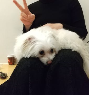 Moff アニマル カフェ イーアス 高尾店に投稿された画像（2023/2/28）